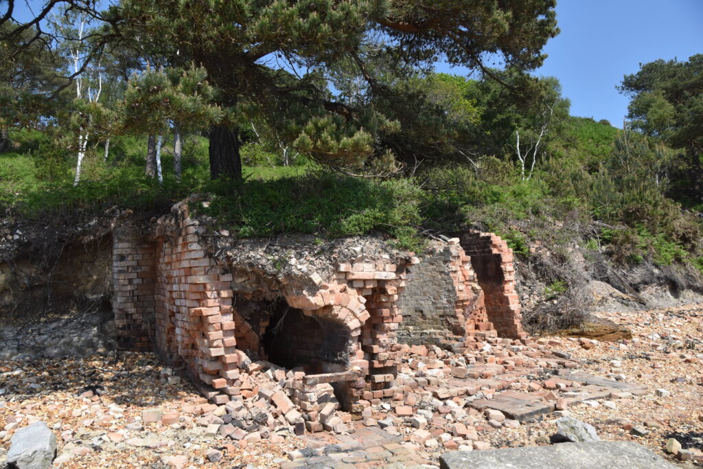 Südengland Tag 5 – Brownsea Island