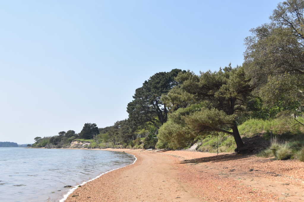 Südengland Tag 5 – Brownsea Island