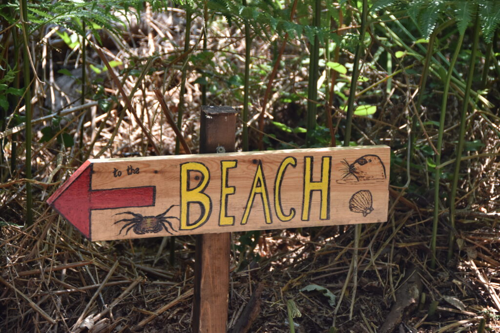 Südengland Tag 5 – Brownsea Island