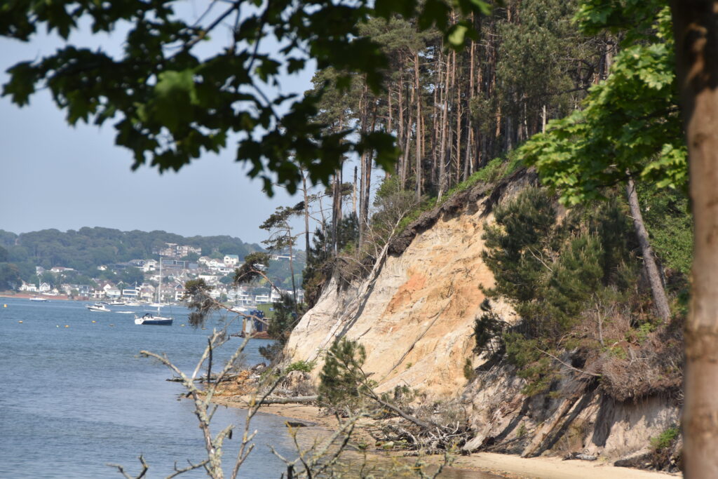 Südengland Tag 5 – Brownsea Island
