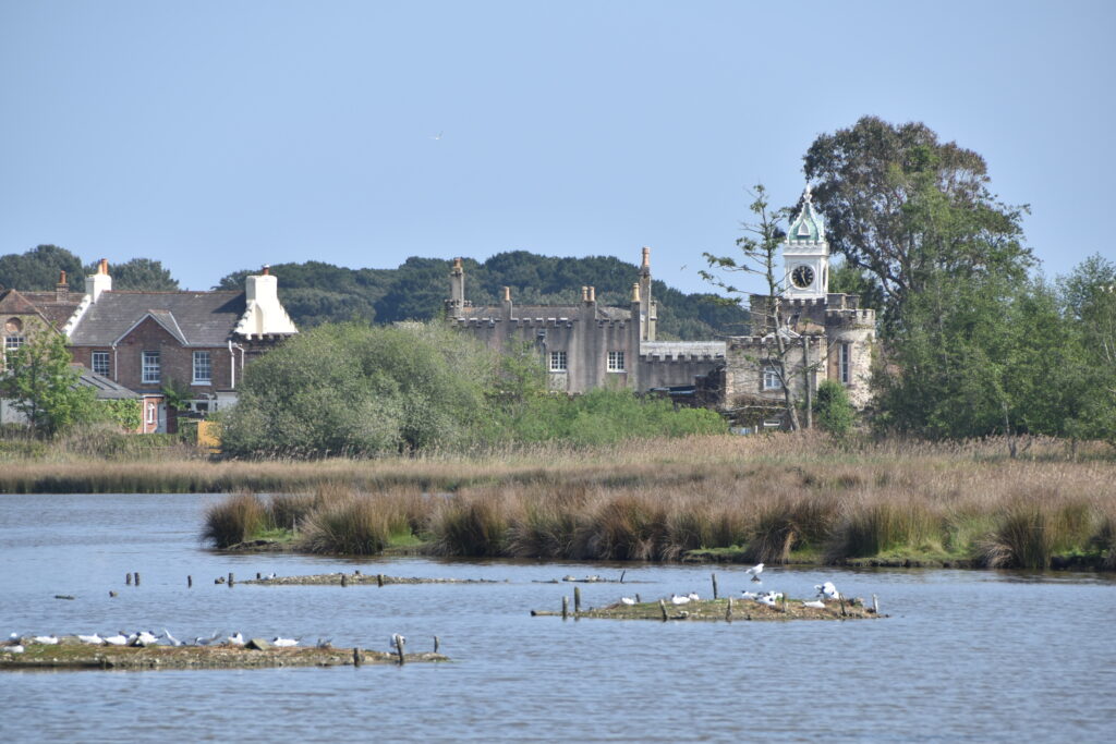 Südengland Tag 5 – Brownsea Island