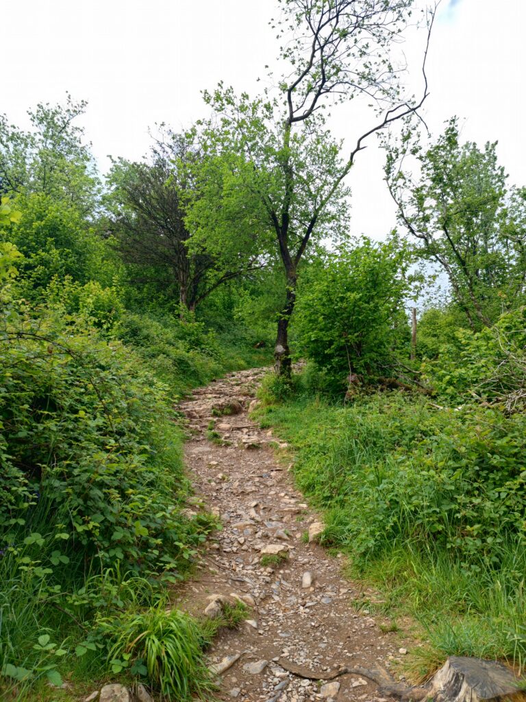 Südengland Tag 12 – Cheddar