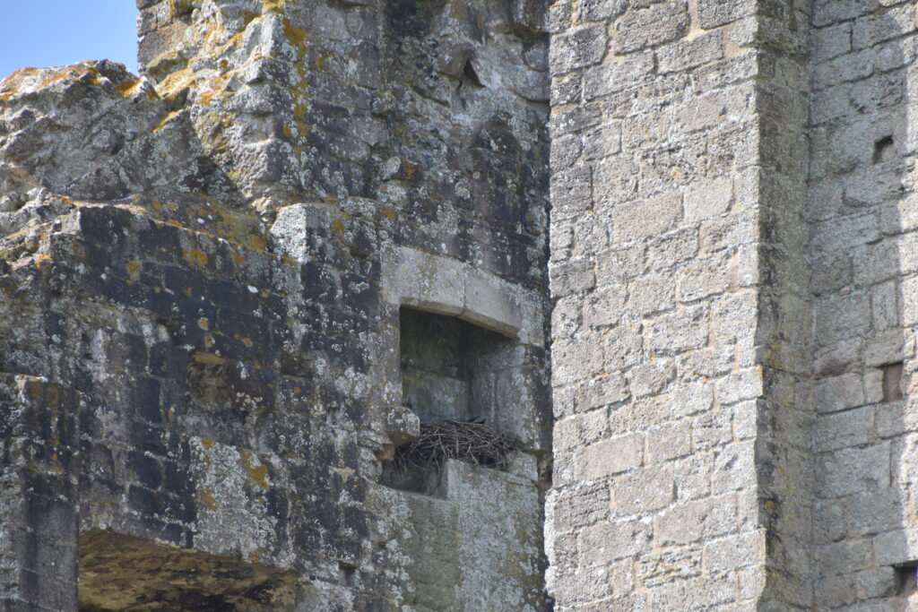 Südengland Tag 6 – Corfe Castle