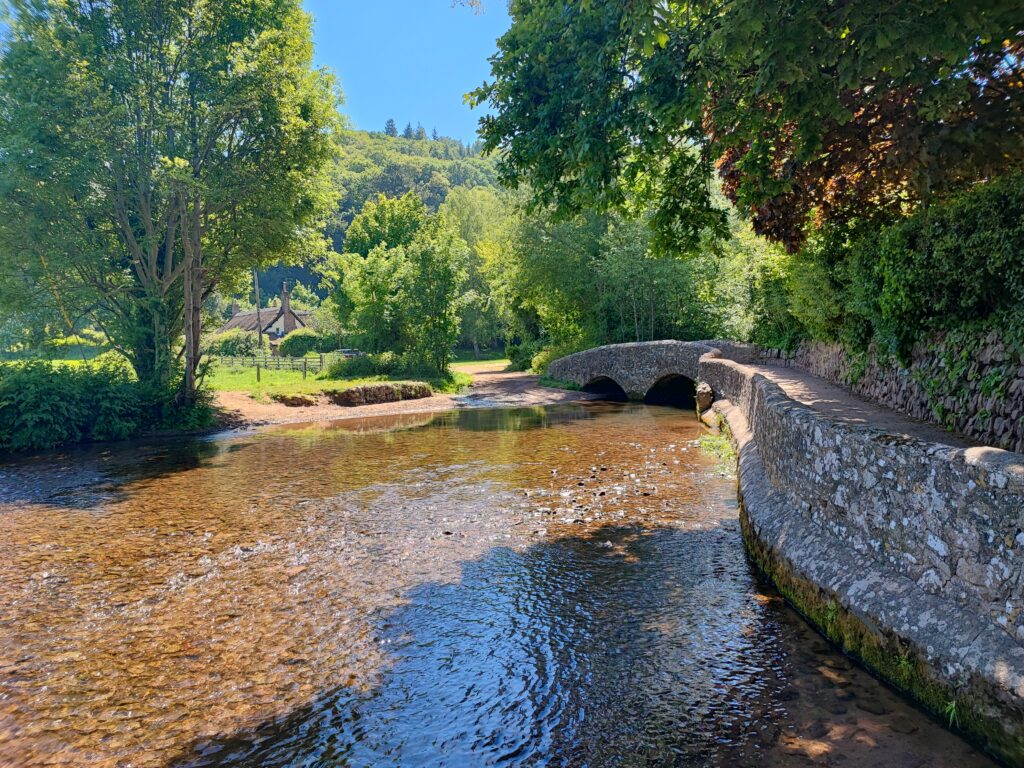 Südengland Tag 9 – Dunster Castle