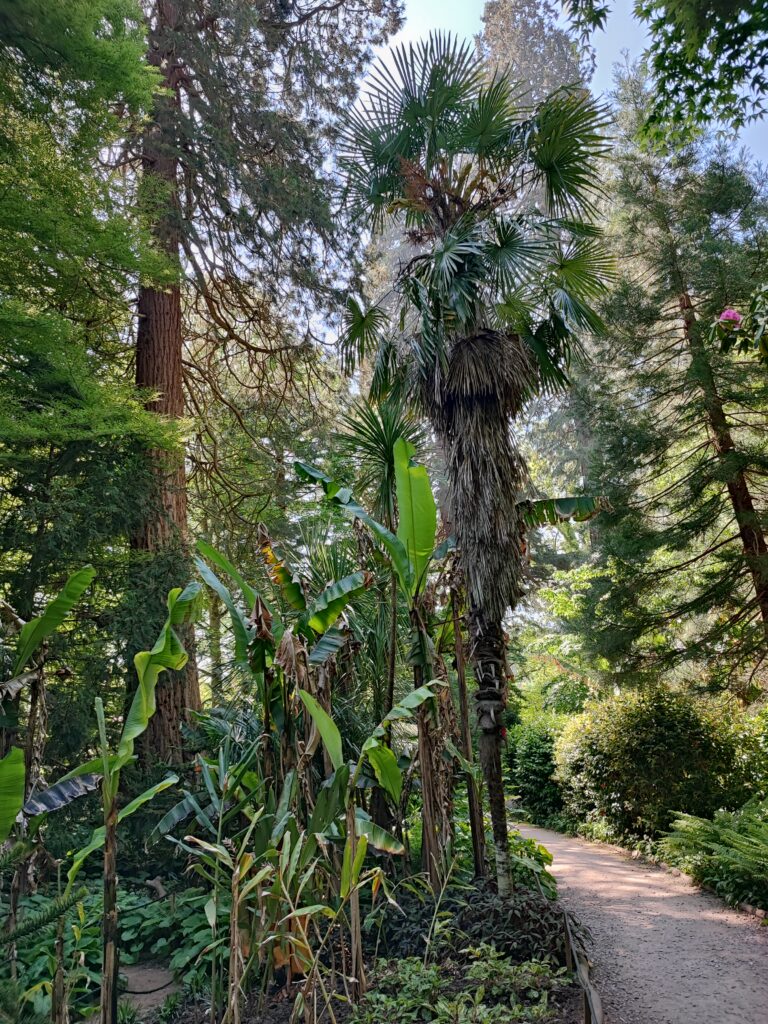 Südengland Tag 9 – Dunster Castle