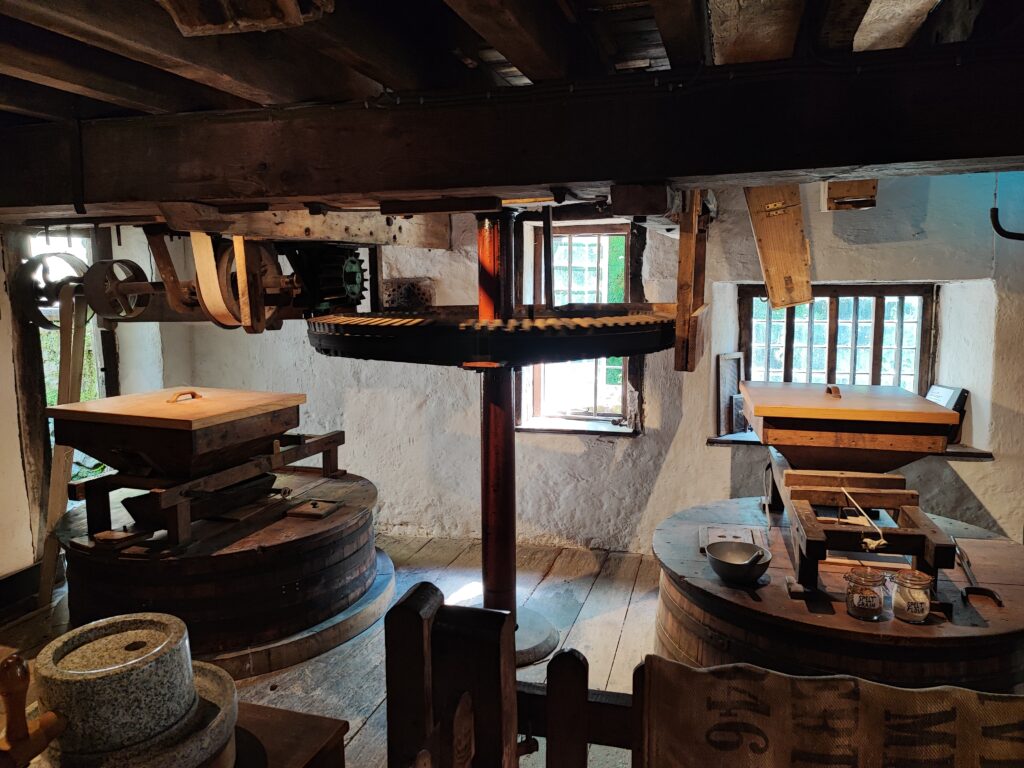 Südengland Tag 9 – Dunster Castle