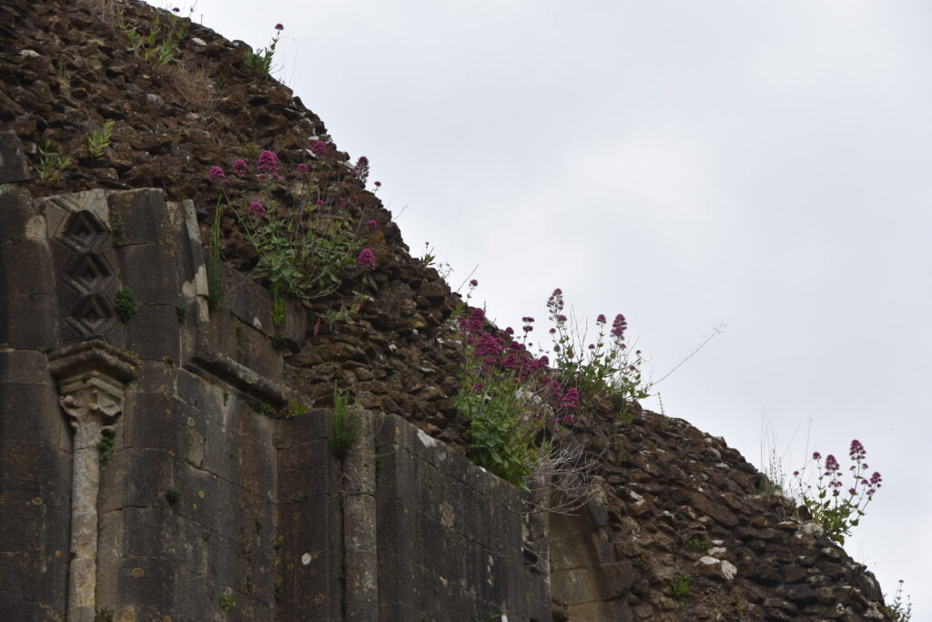 Südengland Tag 10 – Glastonbury