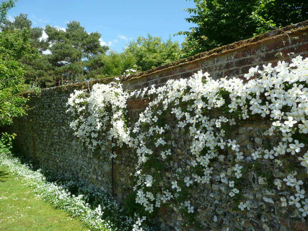 Südengland Tag 1 – Greys Court