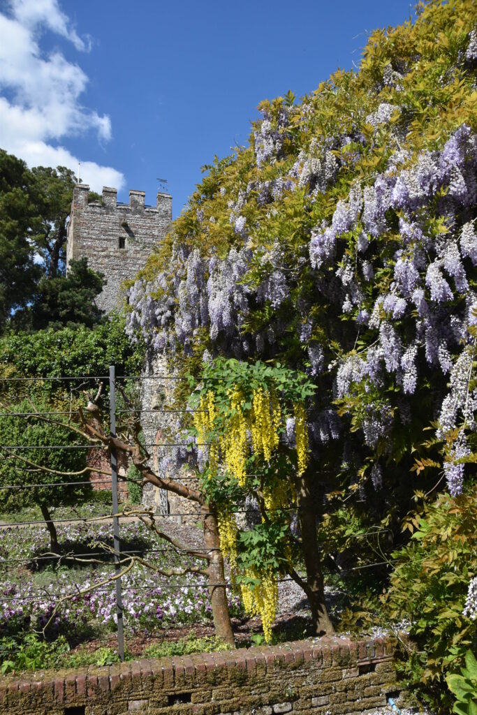 Südengland Tag 1 – Greys Court