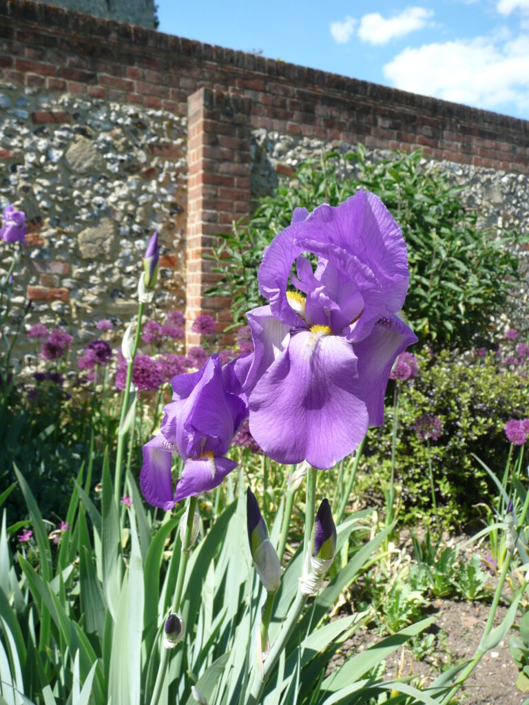 Südengland Tag 1 – Greys Court