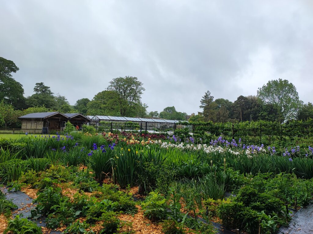 Südengland Tag 18 – Hidcote