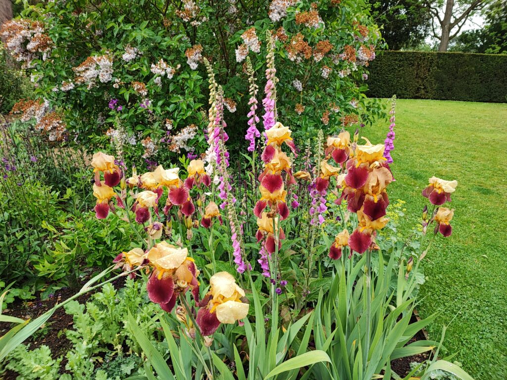 Südengland Tag 18 – Hidcote