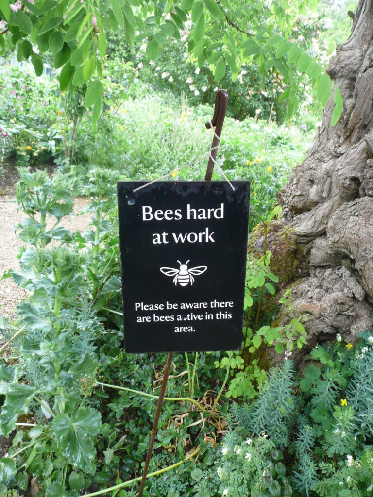 Südengland Tag 18 – Hidcote