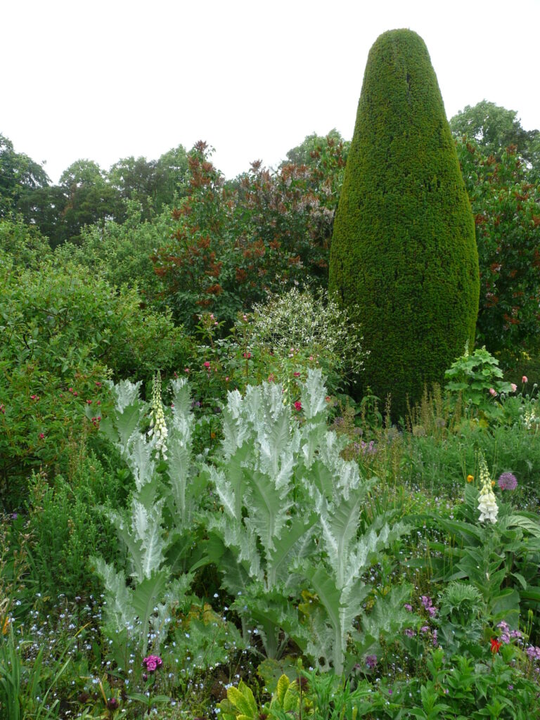 Südengland Tag 18 – Hidcote