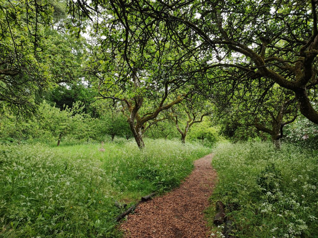 Südengland Tag 18 – Hidcote