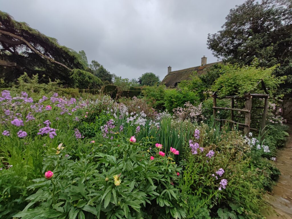 Südengland Tag 18 – Hidcote