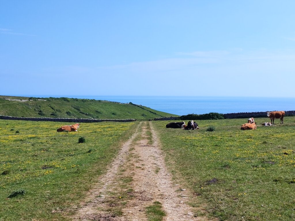 Südengland Tag 6 – Jurassic Coast
