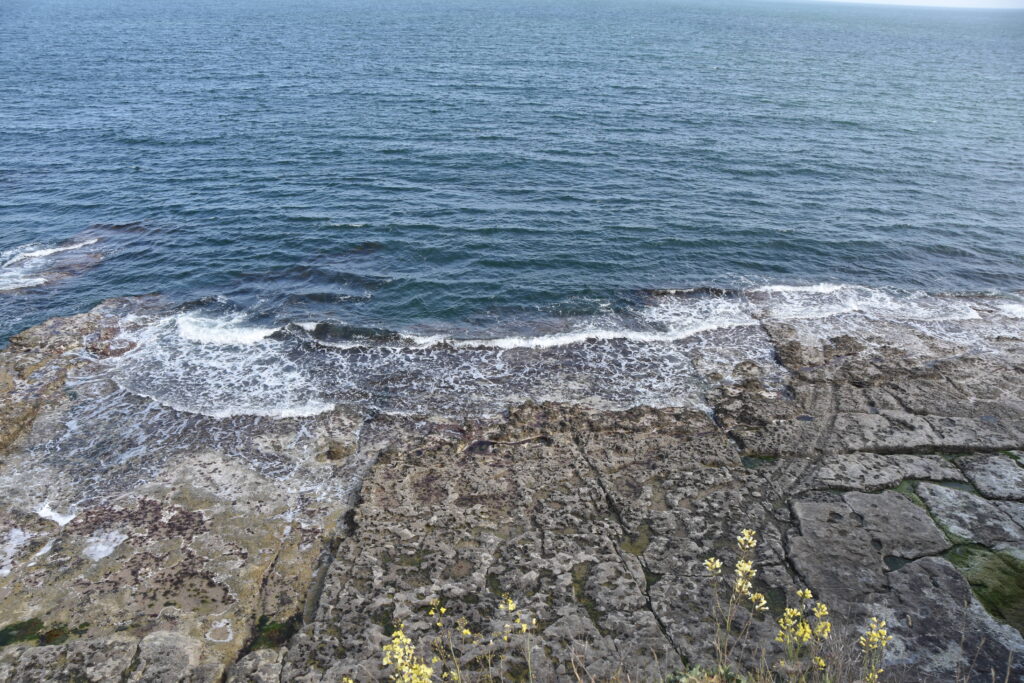 Südengland Tag 6 – Jurassic Coast