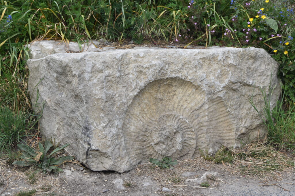 Südengland Tag 6 – Jurassic Coast
