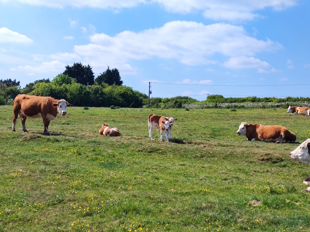 Südengland Tag 6 – Jurassic Coast