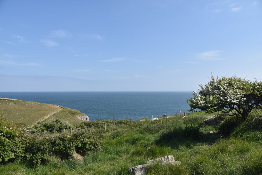 Südengland Tag 6 – Jurassic Coast