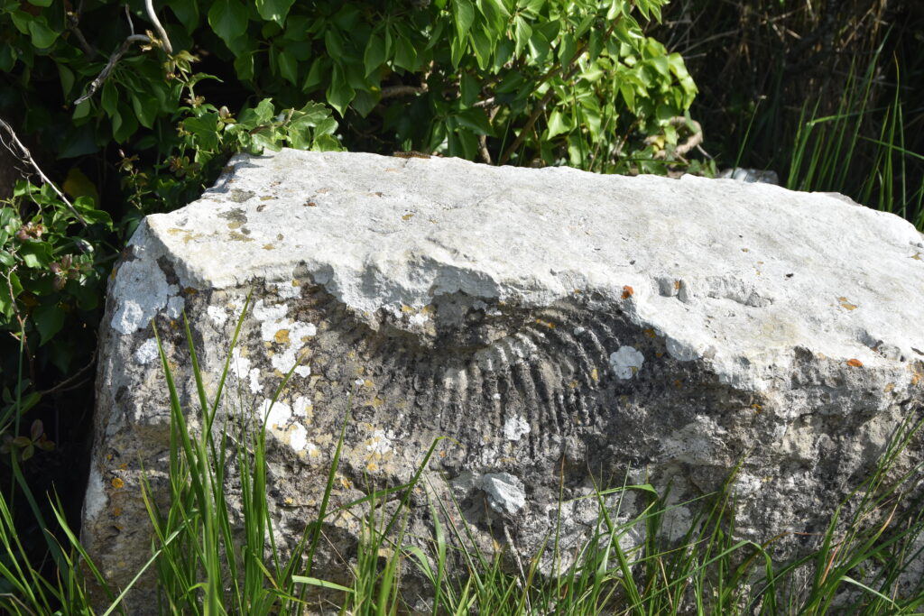 Südengland Tag 6 – Jurassic Coast