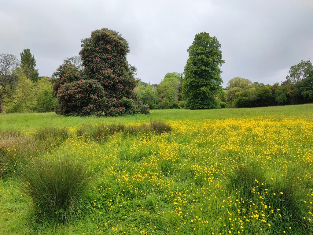 Südengland Tag 17 – Upper & Lower Slaughter