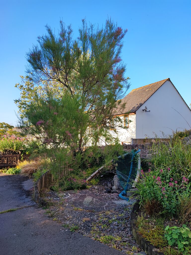 Südengland Tag 8 – Selworthy und Porlock