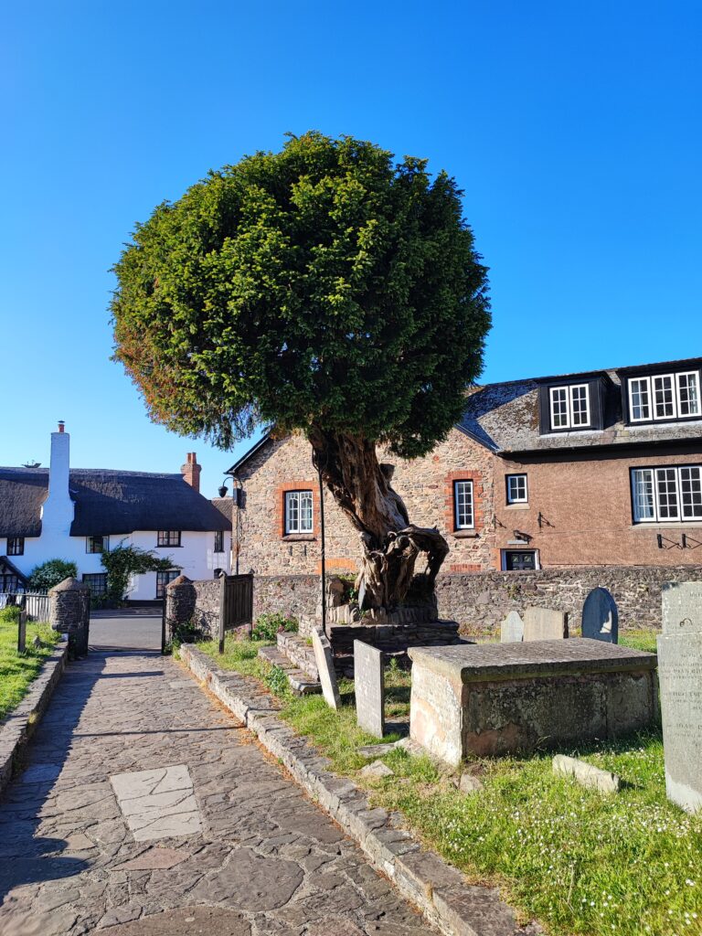 Südengland Tag 8 – Selworthy und Porlock