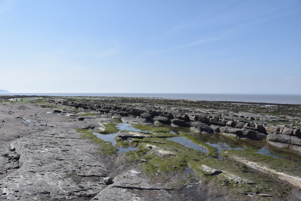 Südengland Tag 9 – Fossilien (Quantoxhead Beach)