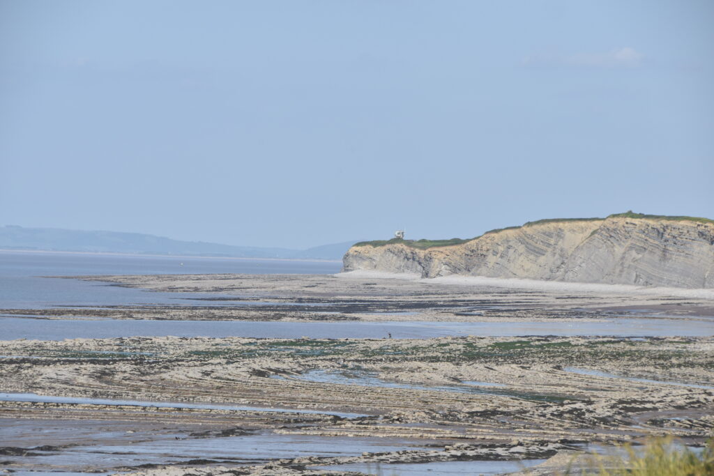 Südengland Tag 9 – Fossilien (Quantoxhead Beach)