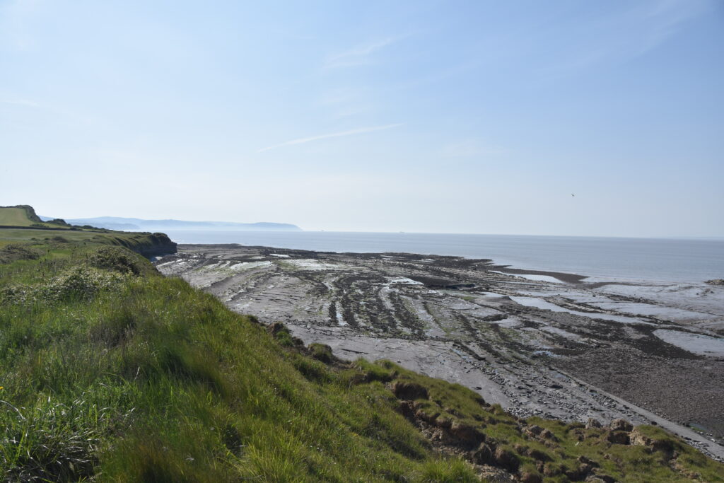 Südengland Tag 9 – Fossilien (Quantoxhead Beach)