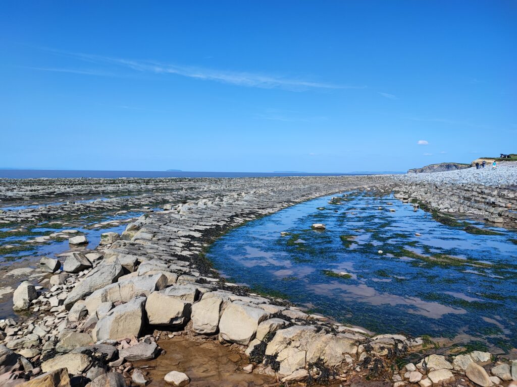 Südengland Tag 9 – Fossilien (Quantoxhead Beach)