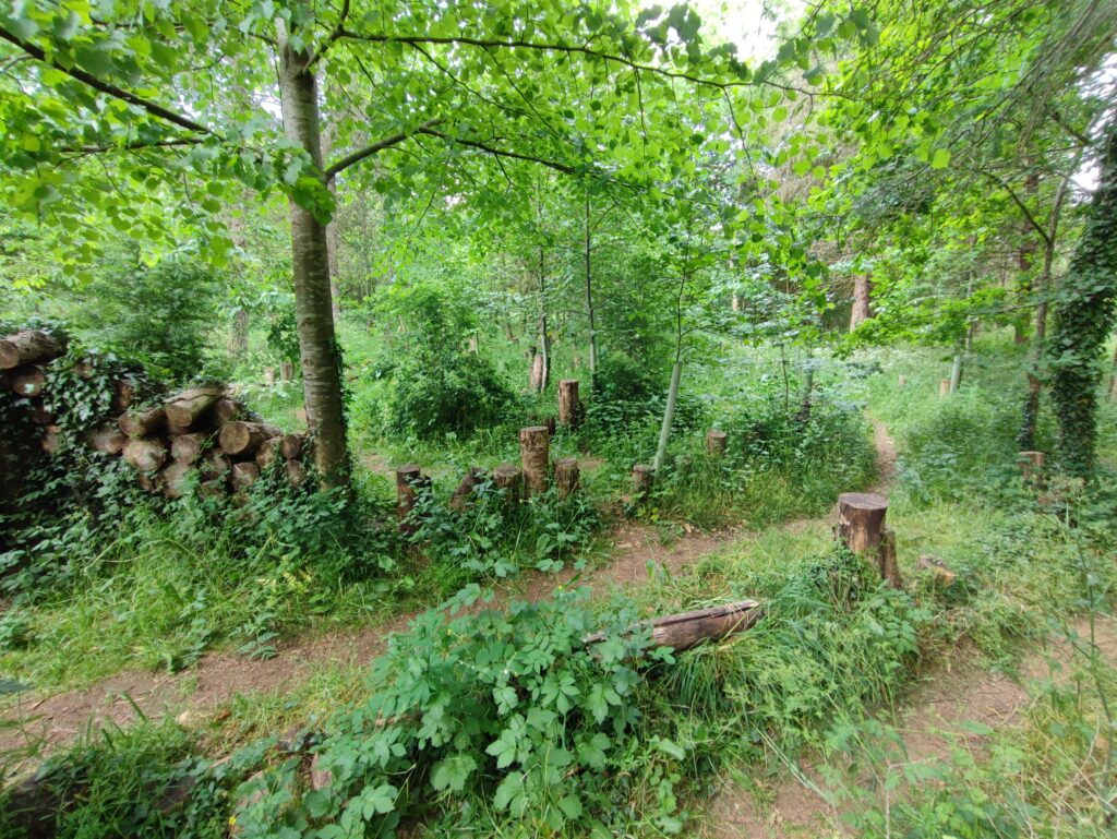 Südengland Tag 19 – Rollright Stones & Whispering Knights