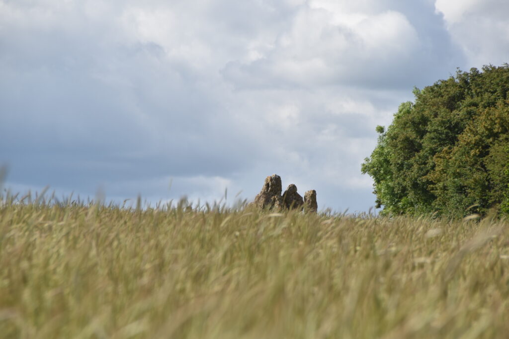 Südengland Tag 19 – Rollright Stones & Whispering Knights