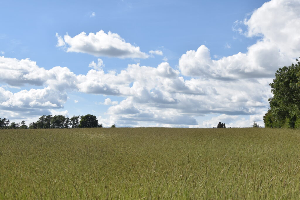 Südengland Tag 19 – Rollright Stones & Whispering Knights