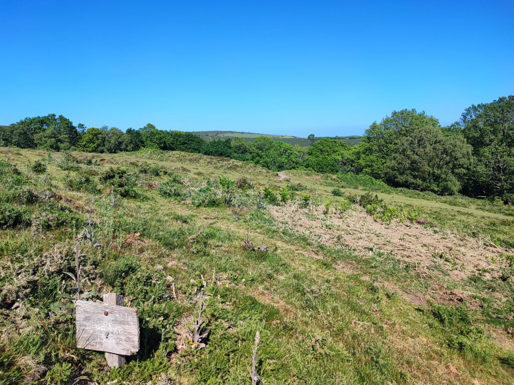 Südengland Tag 8 – Selworthy und Porlock