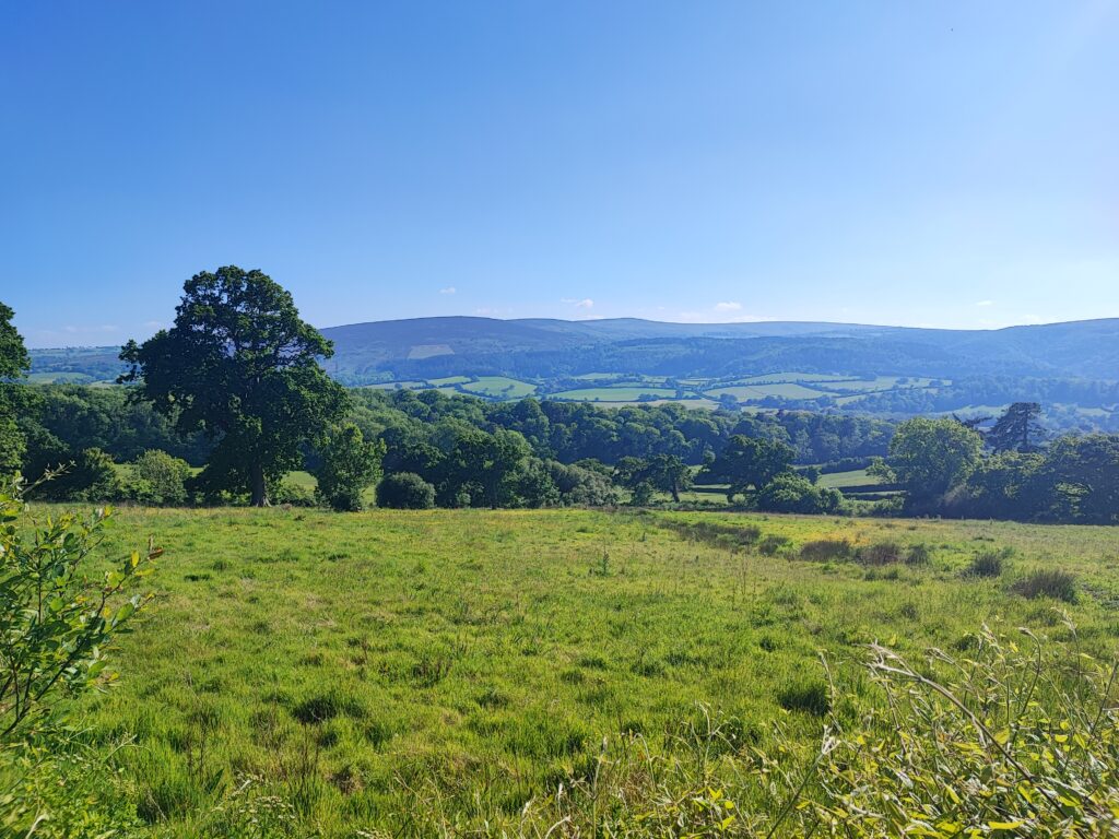 Südengland Tag 8 – Selworthy und Porlock