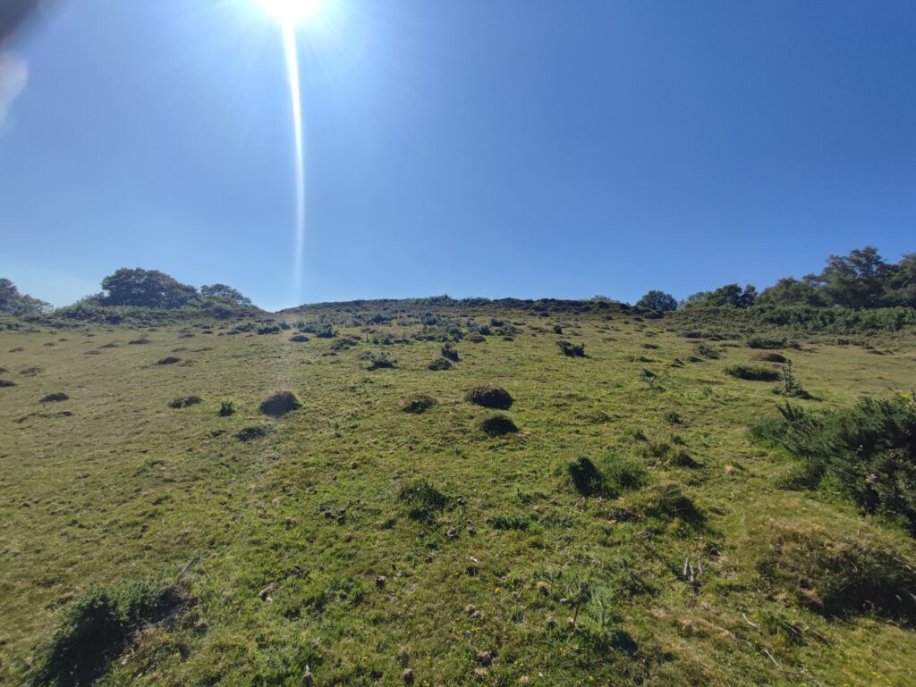 Südengland Tag 8 – Selworthy und Porlock