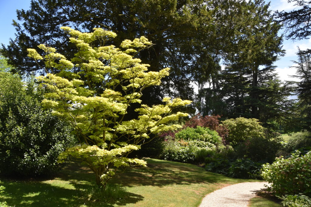 Südengland Tag 19 – Sezincote House & Garden