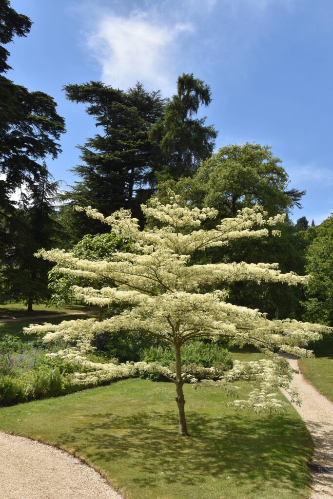 Südengland Tag 19 – Sezincote House & Garden