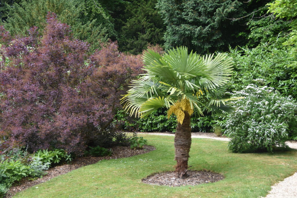 Südengland Tag 19 – Sezincote House & Garden