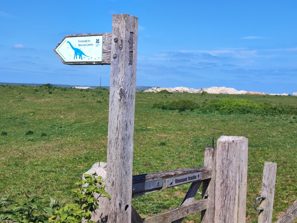 Südengland Tag 6 – Spyway (Dinosaurier-Spuren)