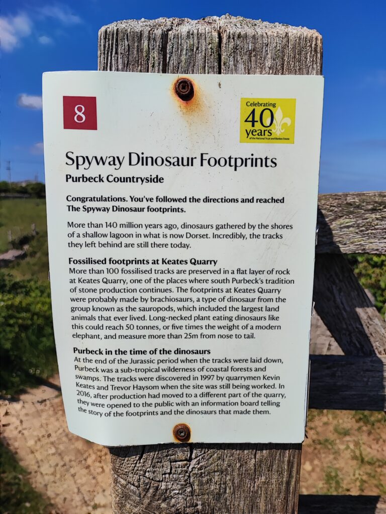 Südengland Tag 6 – Spyway (Dinosaurier-Spuren)