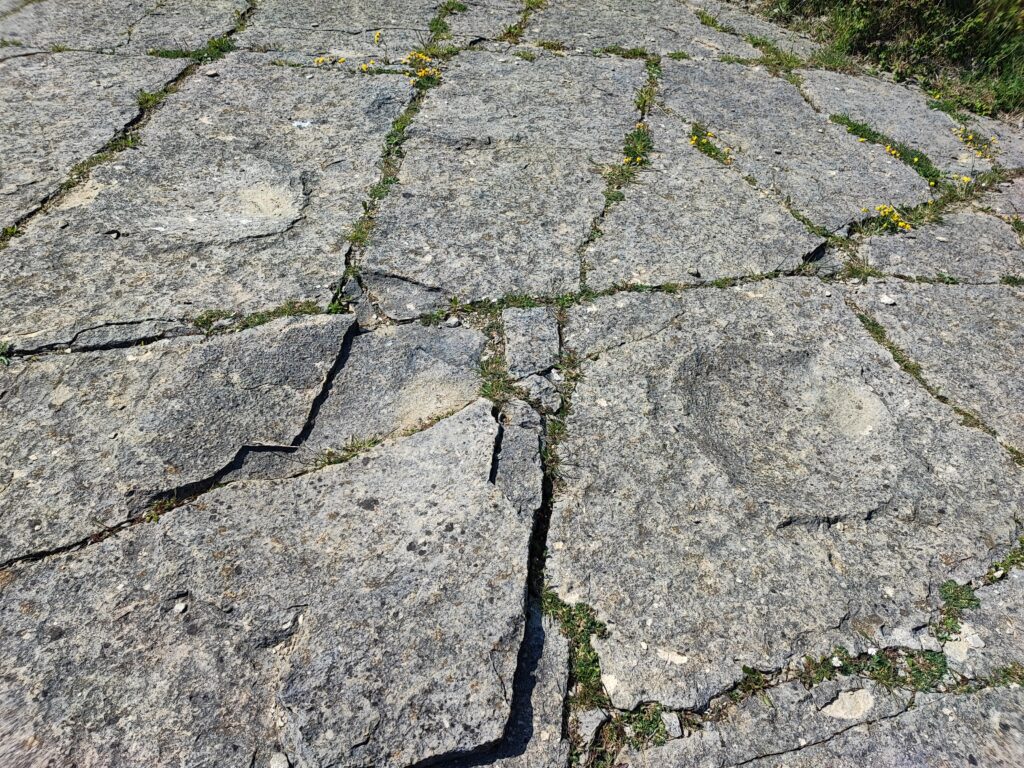Südengland Tag 6 – Spyway (Dinosaurier-Spuren)