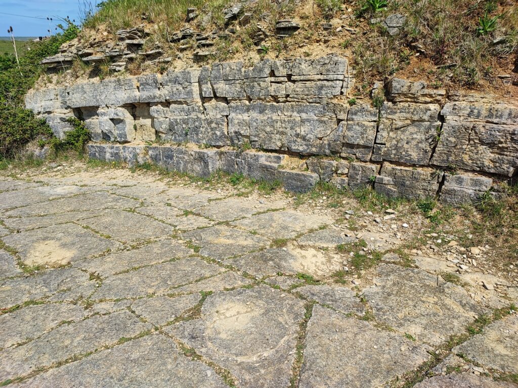 Südengland Tag 6 – Spyway (Dinosaurier-Spuren)