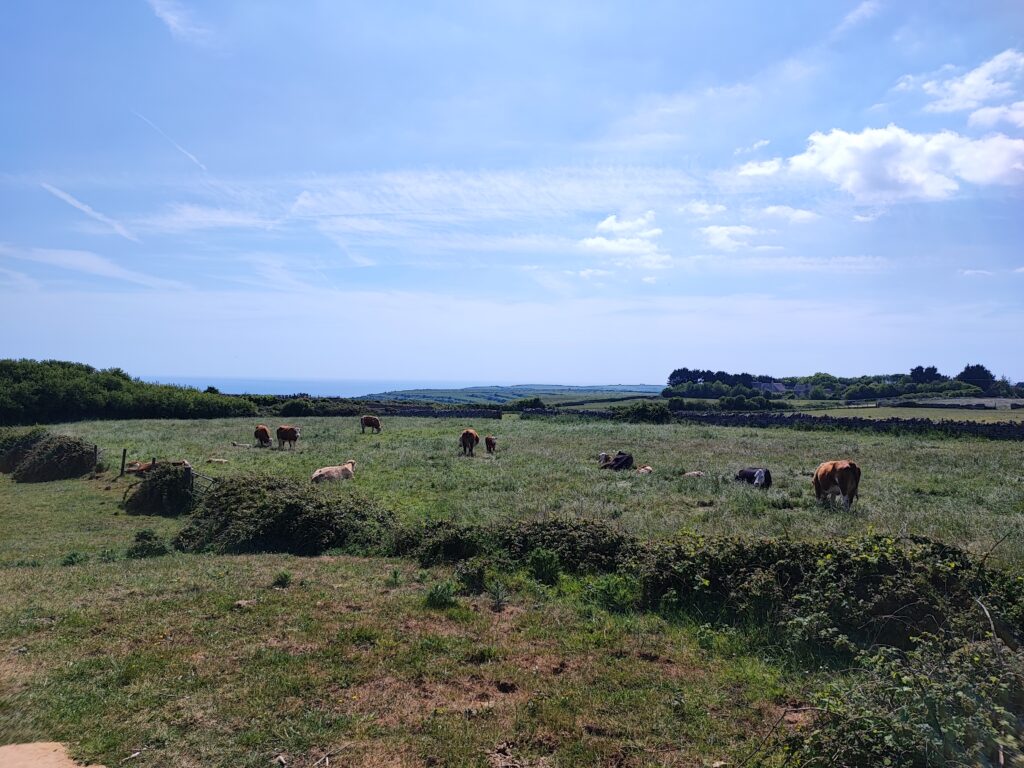 Südengland Tag 6 – Spyway (Dinosaurier-Spuren)