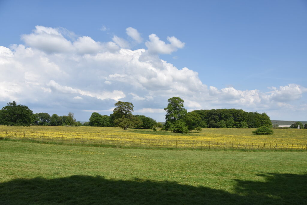 Südengland Tag 4 – Stourhead
