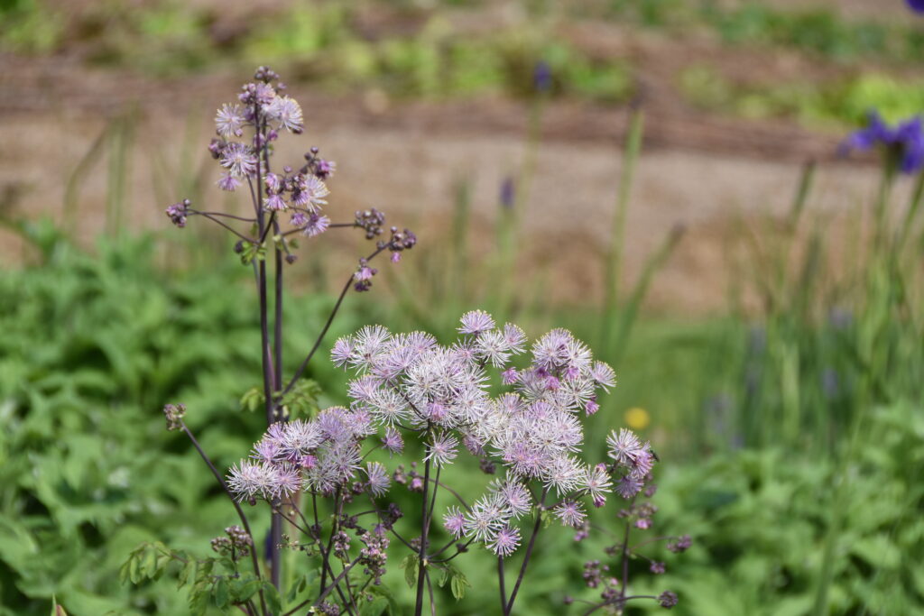 Südengland Tag 4 – Stourhead