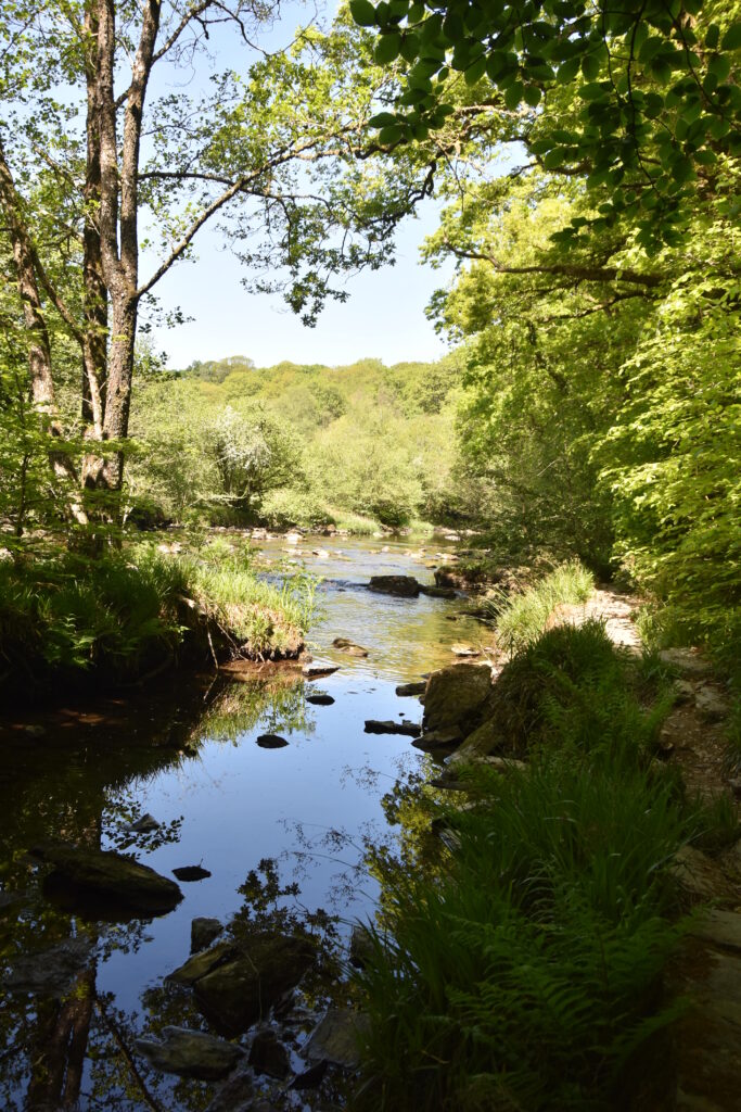 Südengland Tag 8 – Tarr Steps (Exmoor-Nationalpark)